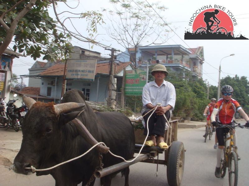 6 days Phnom Penh Cycle To Siem Reap